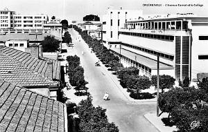 ORLEANSVILLE - AVENUE CARNOT ET COLLEGE